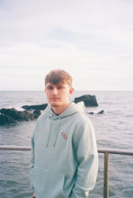 Load image into Gallery viewer, Classic Logo Hoodie (Aloe)